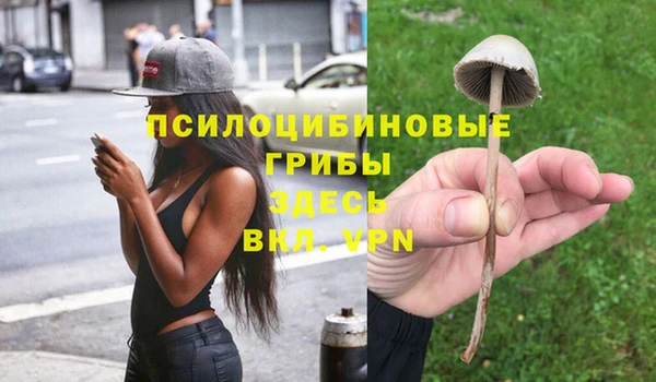 jwh Осинники