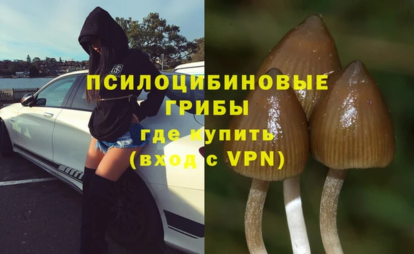 jwh Осинники