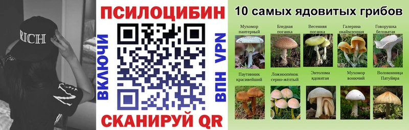 Псилоцибиновые грибы мицелий  Алзамай 